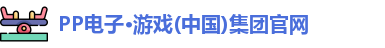 pp电子试玩